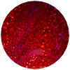 HL-5 Rojo Nieve