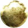 PF-M2 Metalizado Oro